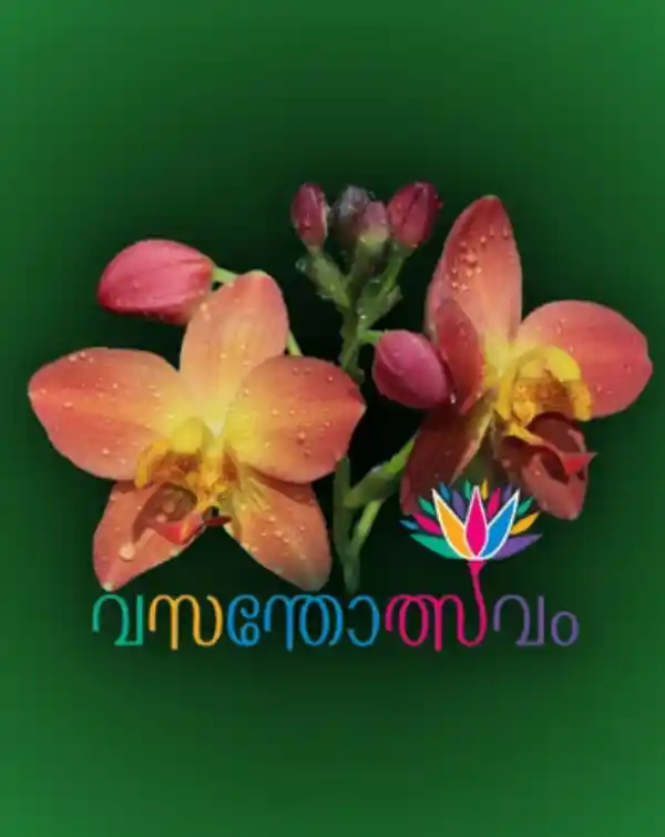 mibile image for Vasantholsavam