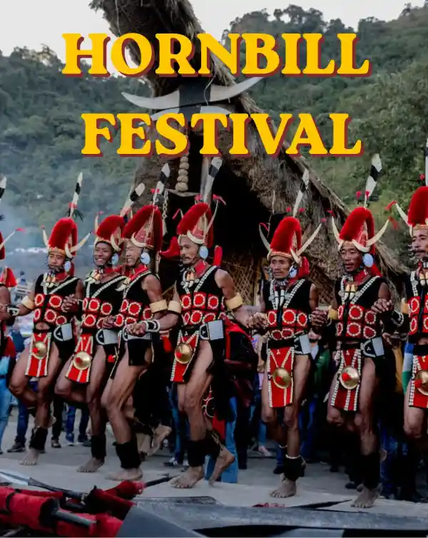 mibile image for Hornbill Festival