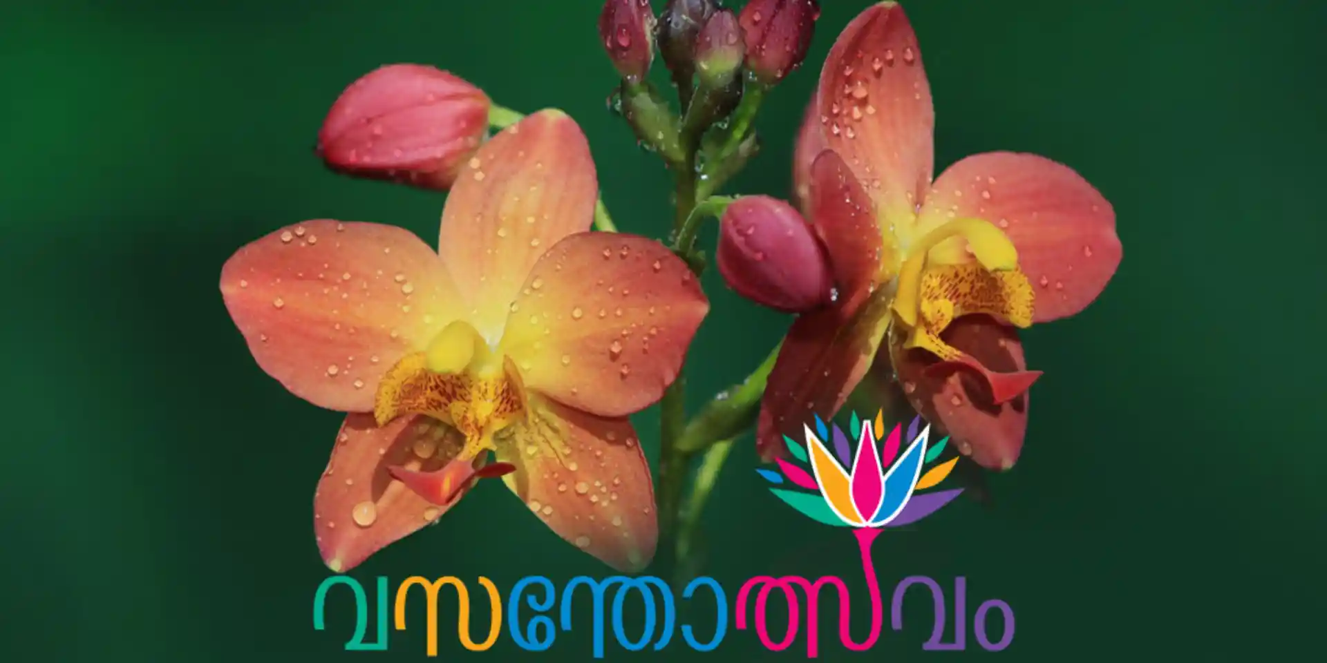 image for Vasantholsavam